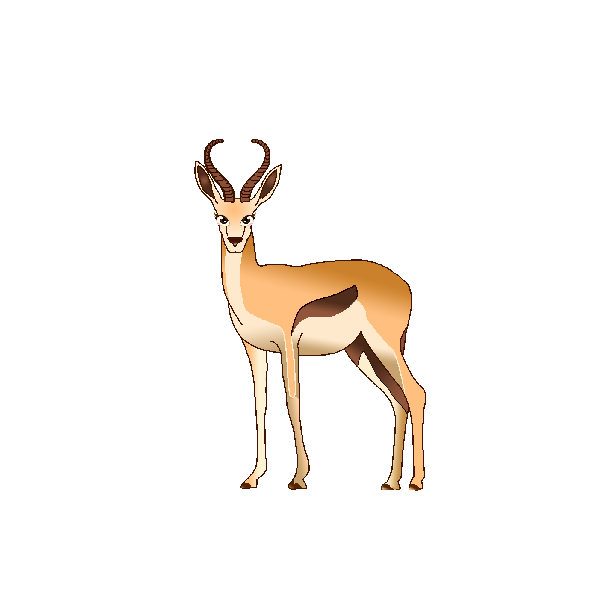 Životinja - Antilopa