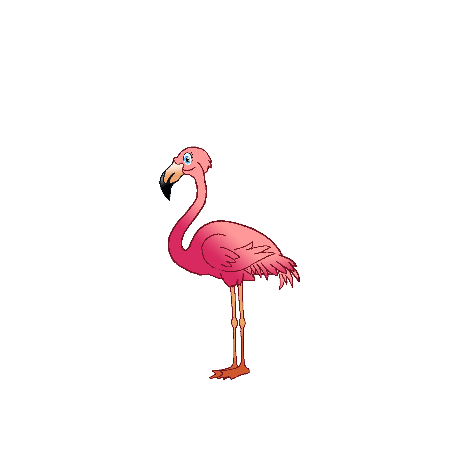 Životinja - Flamingo