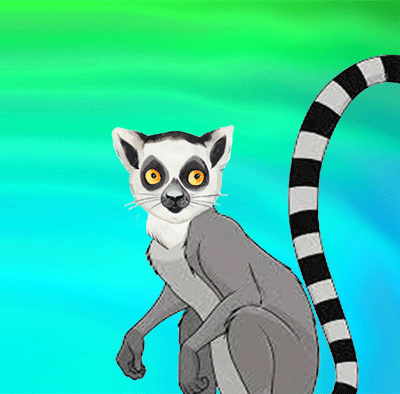 Životinja iz džungle - Lemur