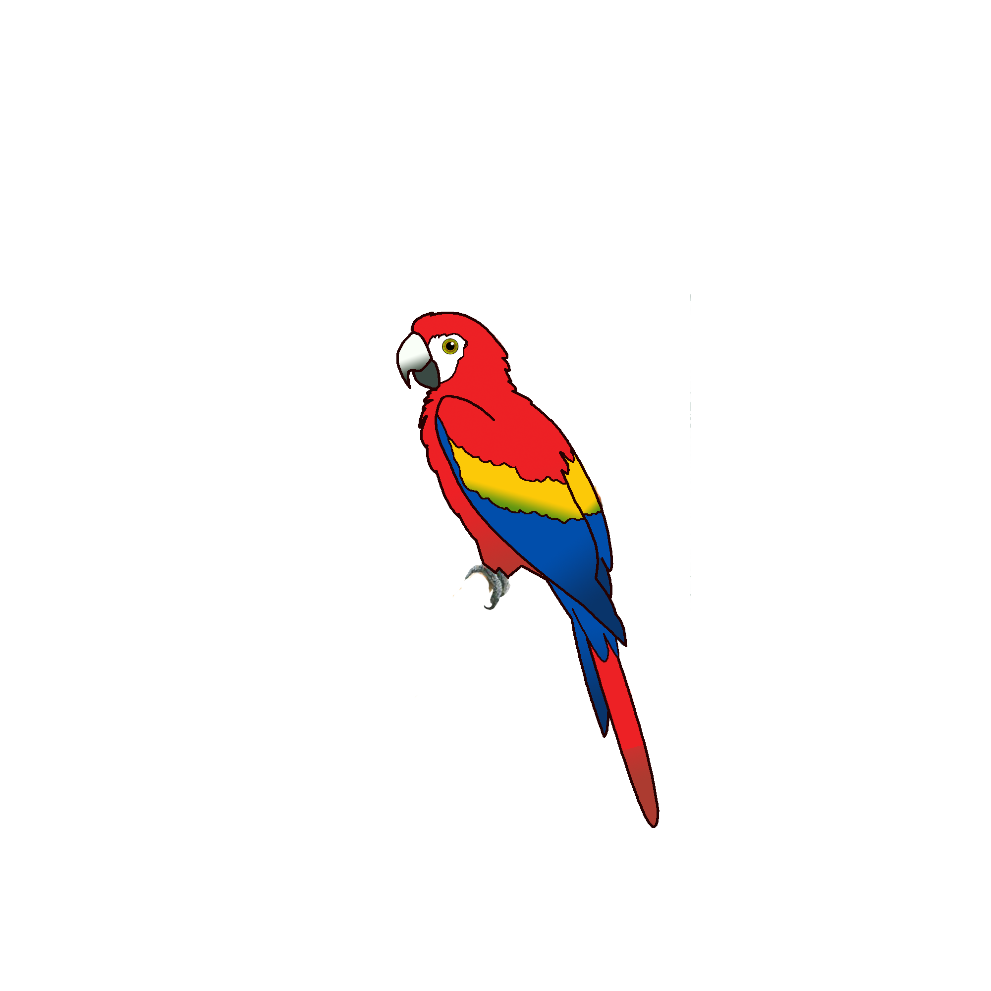 Životinja - Papagaj
