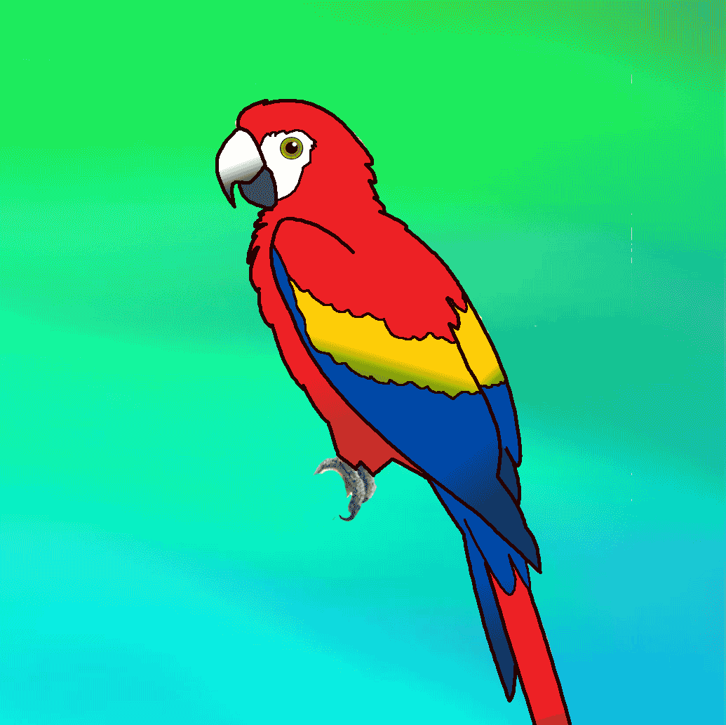 Životinja iz džungle - Papagaj