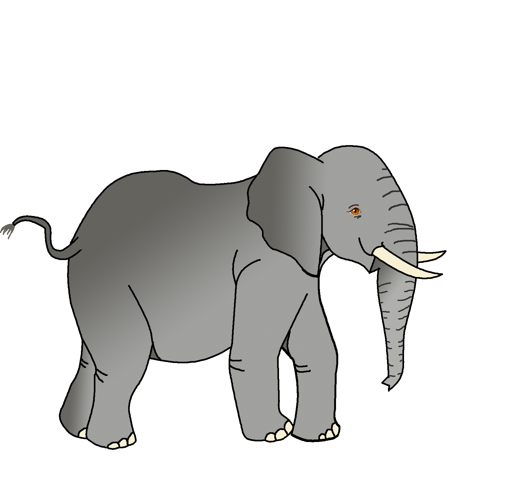 Životinja - Slon