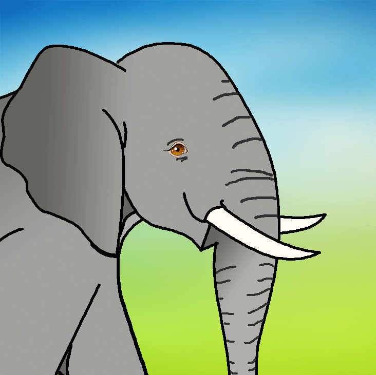 Životinja iz džungle - Slon