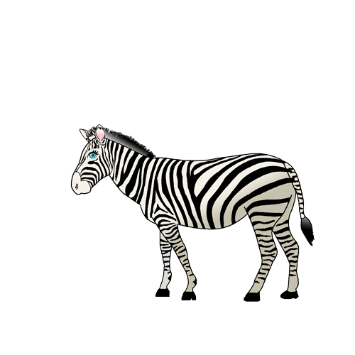 Životinja - Zebra
